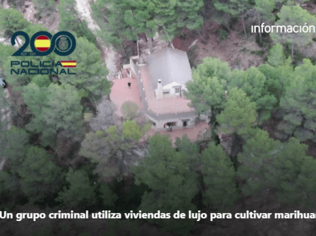 Desmanteladas Tres Plantaciones de Marihuana “Indoor” en Chalés de Lujo de la Provincia de Alicante